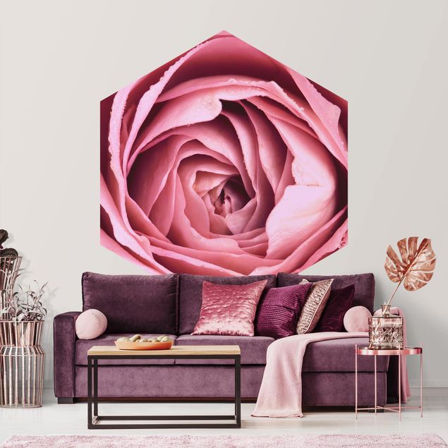 Modern wallpaper designs Pink Rose Blossom