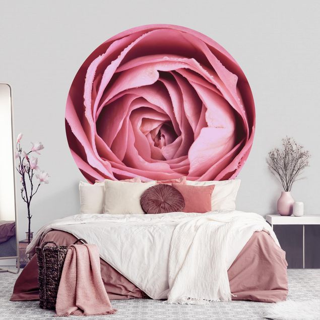 Kitchen Pink Rose Blossom