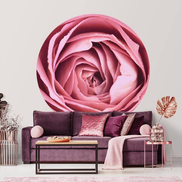 Rose flower wallpaper Pink Rose Blossom