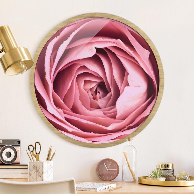 Flower print Pink Rose Blossom