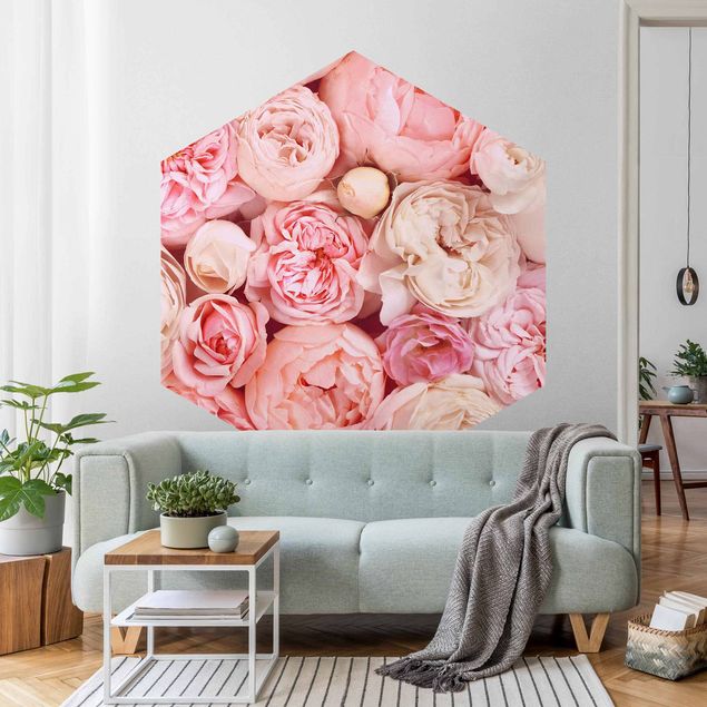 Wallpapers flower Roses Rosé Coral Shabby