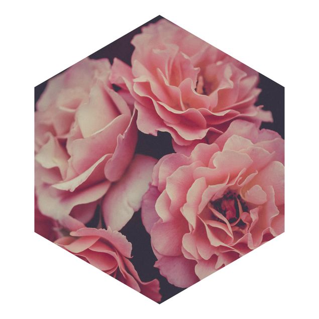 Adhesive wallpaper Paradisical Roses
