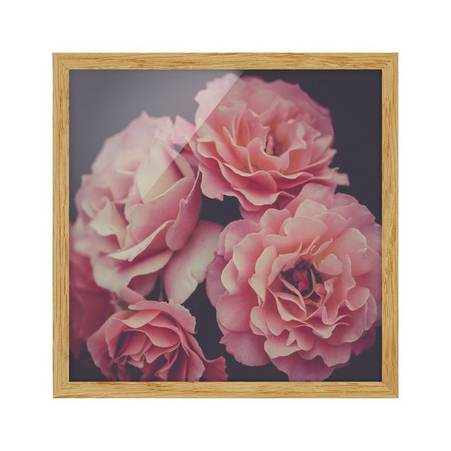 Flowers framed Paradisical Roses