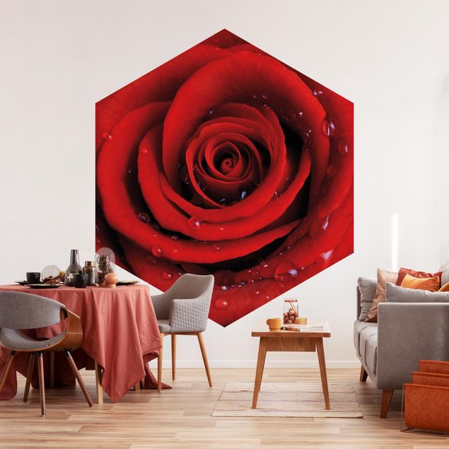Contemporary wallpaper Red Rose With Water Drops