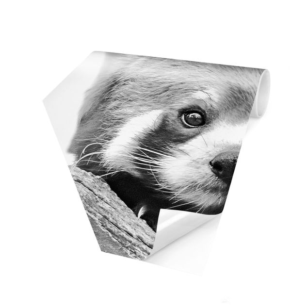 Pink aesthetic wallpaper Red Panda In Black And White