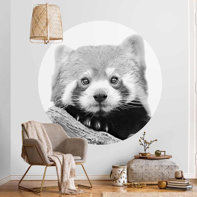 Wallpapers modern Red Panda In Black And White