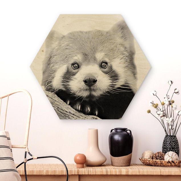 Kids room decor Red Panda In Black And White