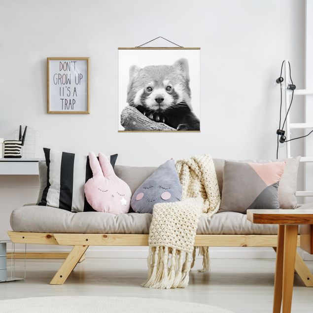 Animal canvas Red Panda In Black And White