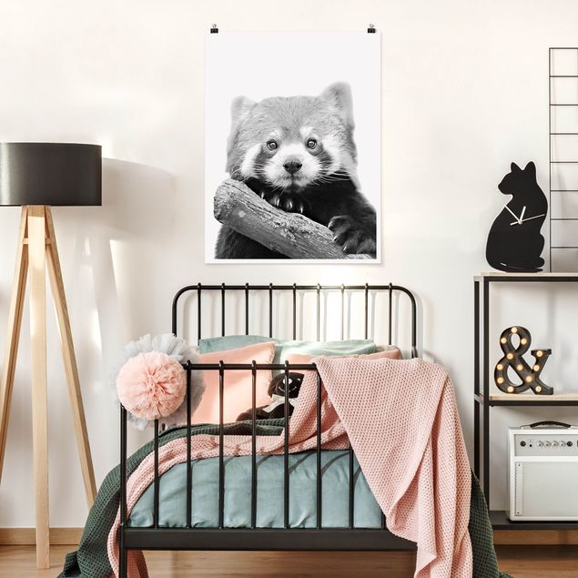 Animal canvas Red Panda In Black And White