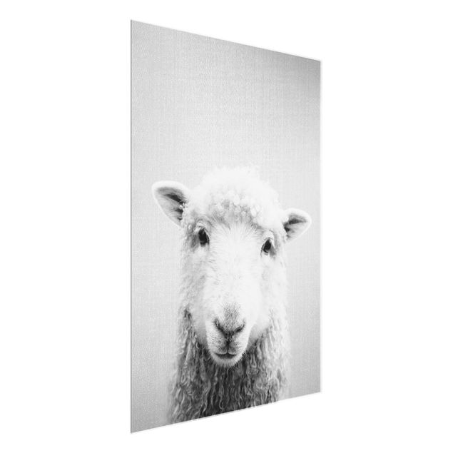 Animal canvas Sheep Steffi Black And White