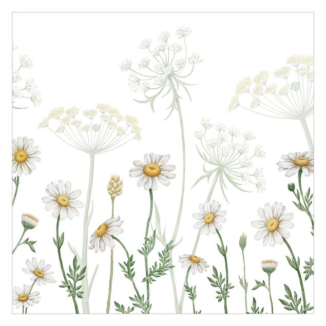 Self adhesive wallpapers Achillea and daisy
