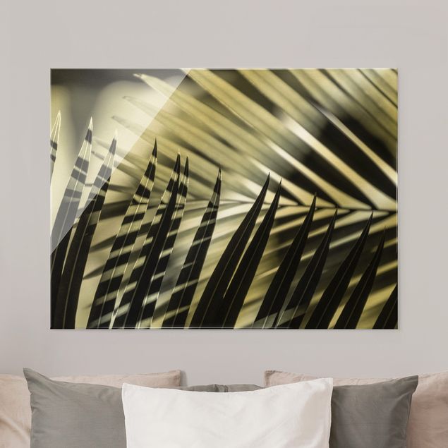 Prints landscape Interplay Of Shaddow And Light On Palm Fronds