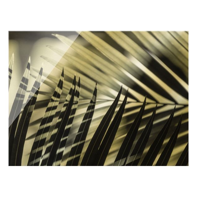 Prints flower Interplay Of Shaddow And Light On Palm Fronds