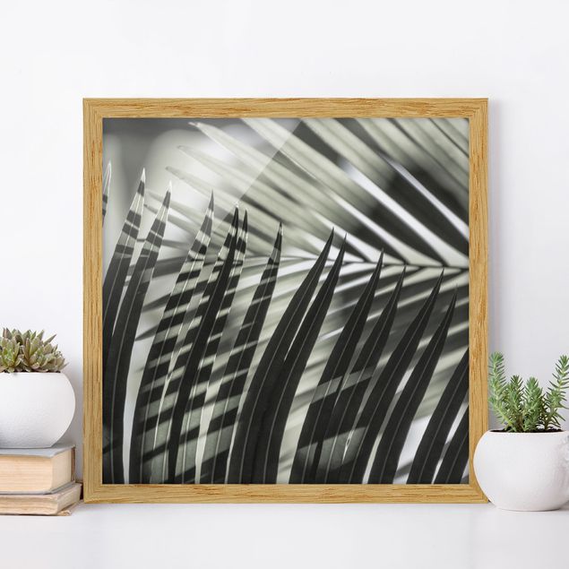 Kitchen Interplay Of Shaddow And Light On Palm Fronds