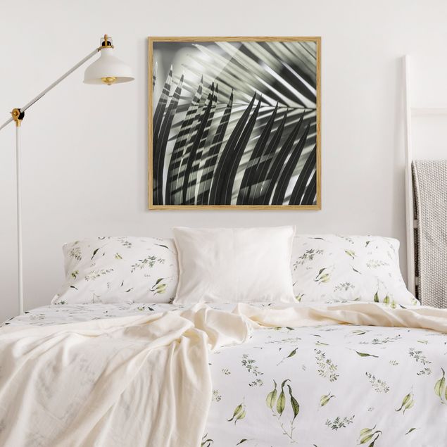 Prints floral Interplay Of Shaddow And Light On Palm Fronds