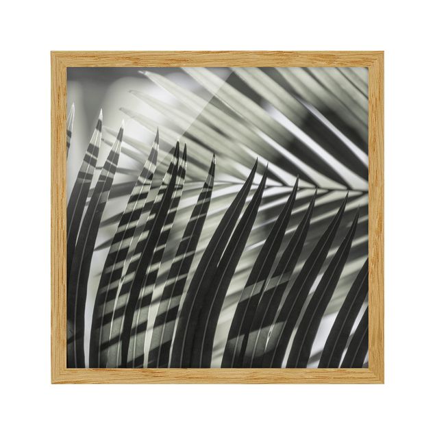 Floral prints Interplay Of Shaddow And Light On Palm Fronds