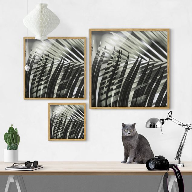 Framed floral Interplay Of Shaddow And Light On Palm Fronds