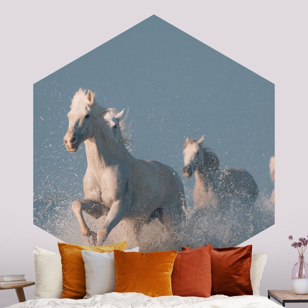 Pony wallpaper Herd Of White Horses