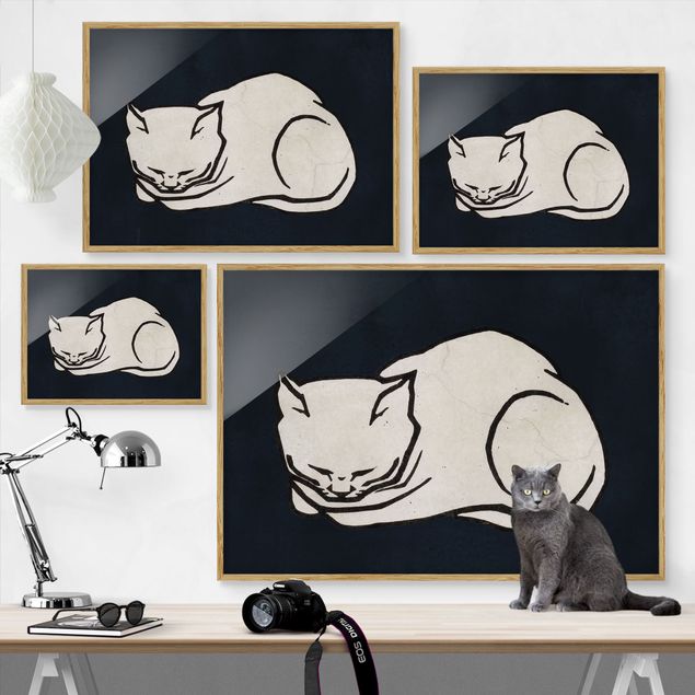 Contemporary art prints Sleeping Cat Illustration