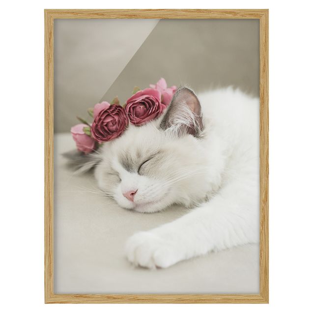 Floral canvas Sleeping Cat with Roses