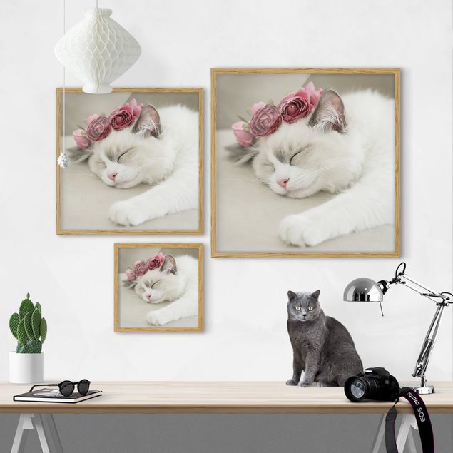 Floral picture Sleeping Cat with Roses
