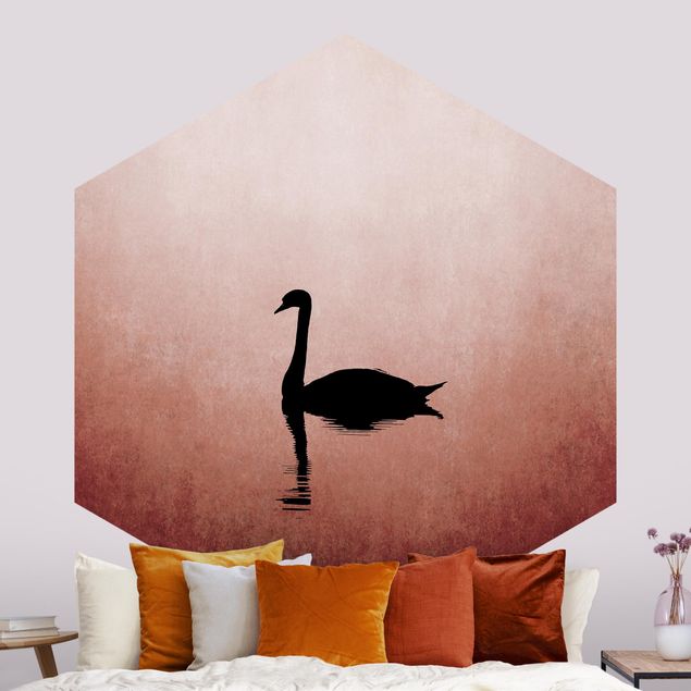 Wallpapers birds Swan In Sunset