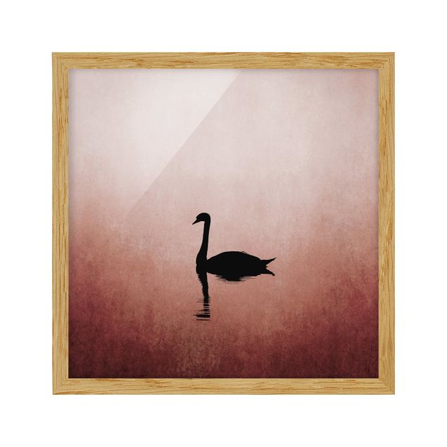 Animal canvas Swan In Sunset