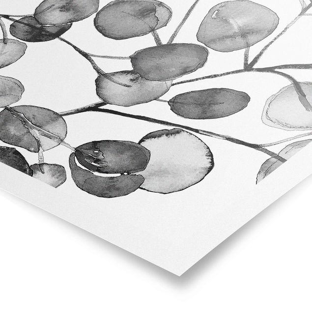 Prints black and white Black And White Eucalyptus Twig Watercolour