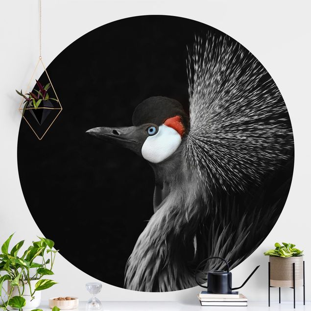 Kitchen Black Crowned Crane