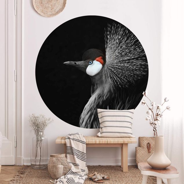 Wallpapers modern Black Crowned Crane