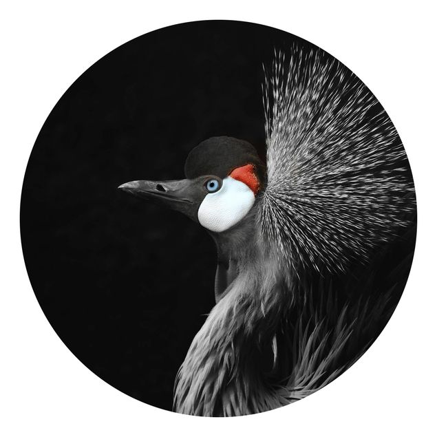 Monika Strigel Art prints Black Crowned Crane