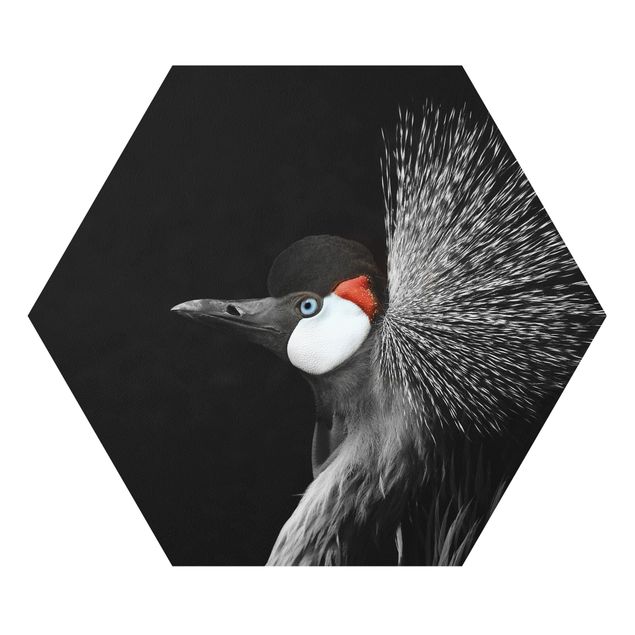 Forex prints Black Crowned Crane