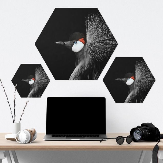 Hexagonal prints Black Crowned Crane