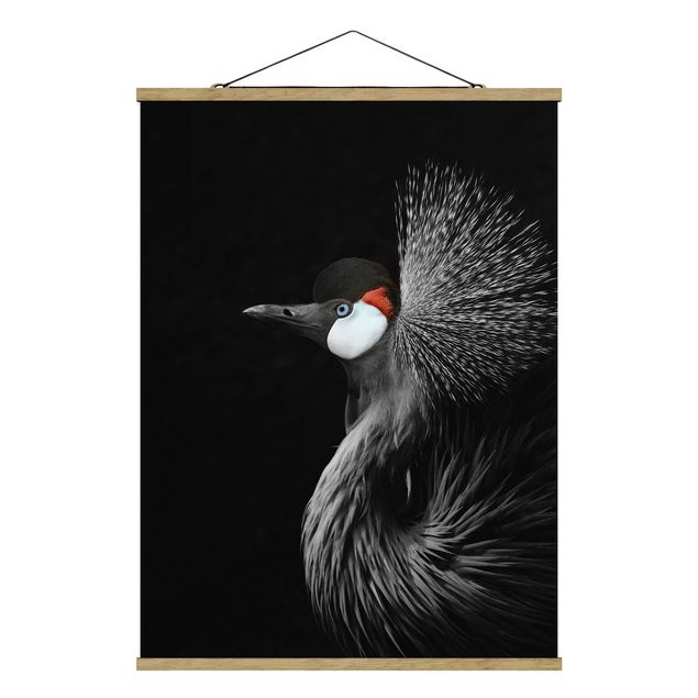 Feather canvas Black Crowned Crane