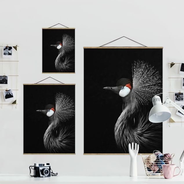 Monika Strigel Art prints Black Crowned Crane