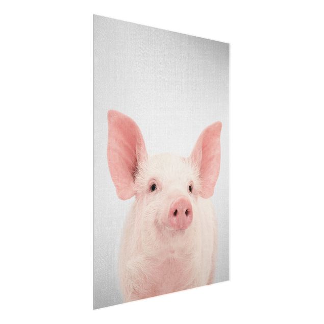 Animal wall art Pig Shorsh