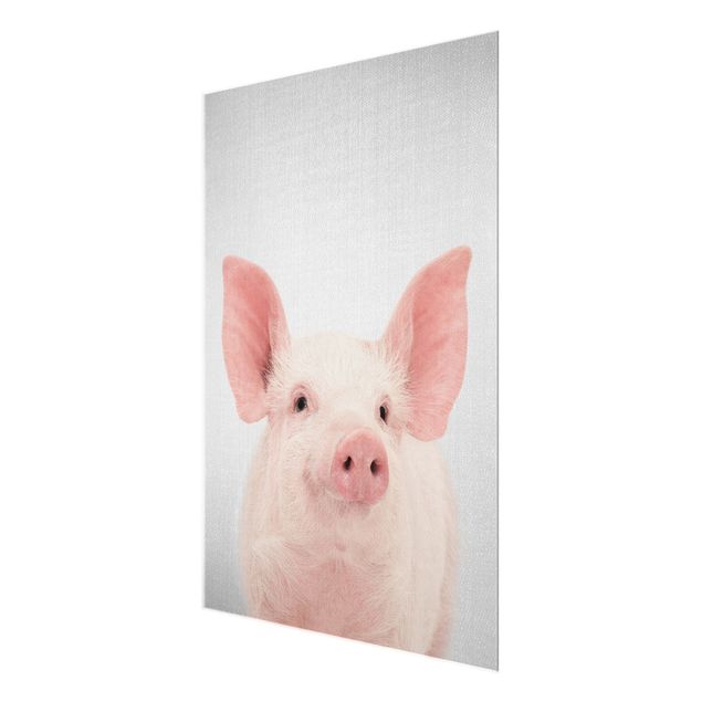 Gal Design art Pig Shorsh