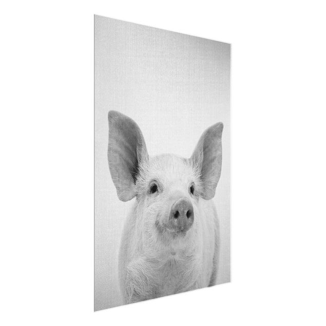 Animal wall art Pig Shorsh Black And White