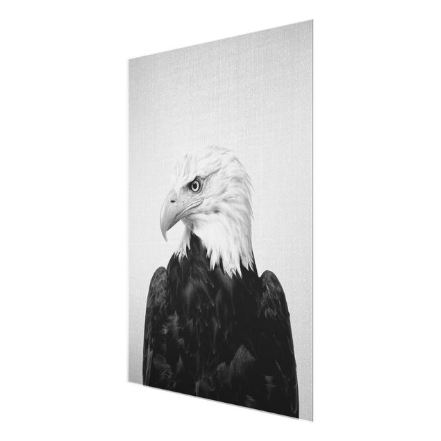 Gal Design art Sea Eagle Socrates Black And White