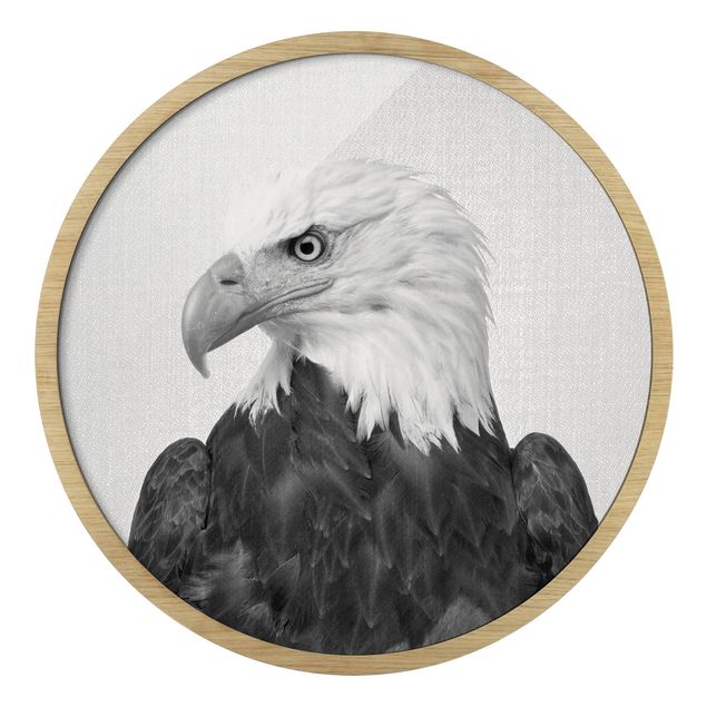 Framed prints black and white Sea Eagle Socrates Black And White