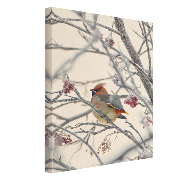 Contemporary art prints Bohemian Waxwing In A Tree