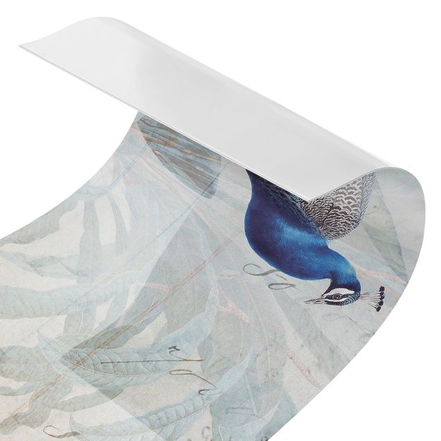 Film adhesive Shabby Chic Collage - Peacock