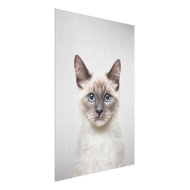 Glass prints pieces Siamese Cat Sibylle