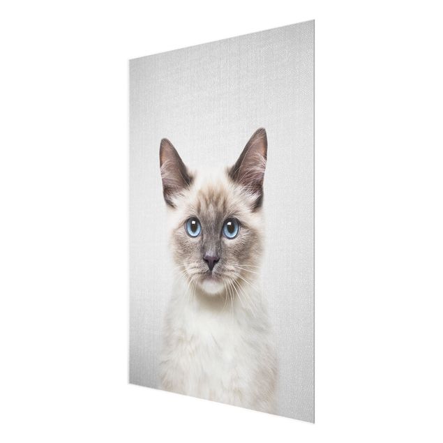 Black and white wall art Siamese Cat Sibylle