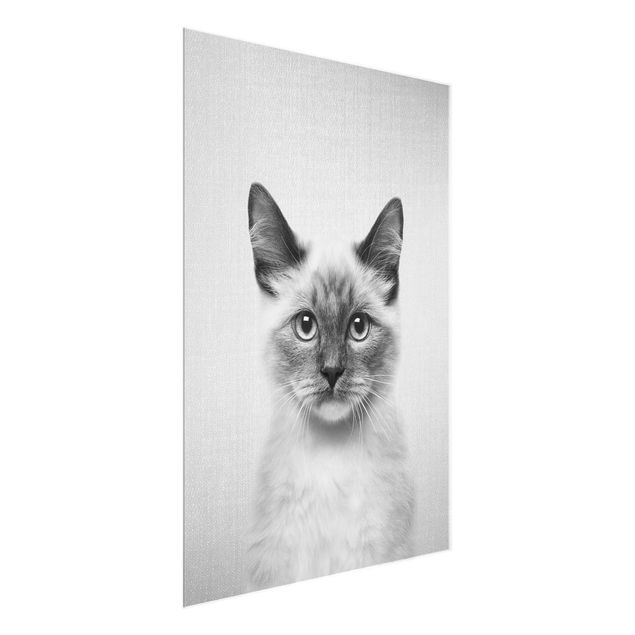 Glass prints pieces Siamese Cat Sibylle Black And White