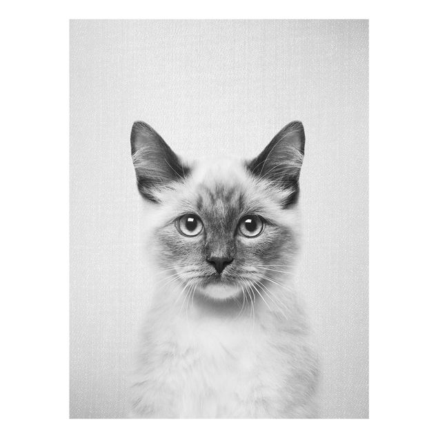 Prints animals Siamese Cat Sibylle Black And White