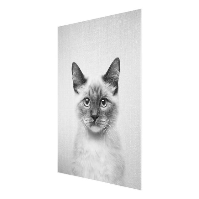 Prints black and white Siamese Cat Sibylle Black And White