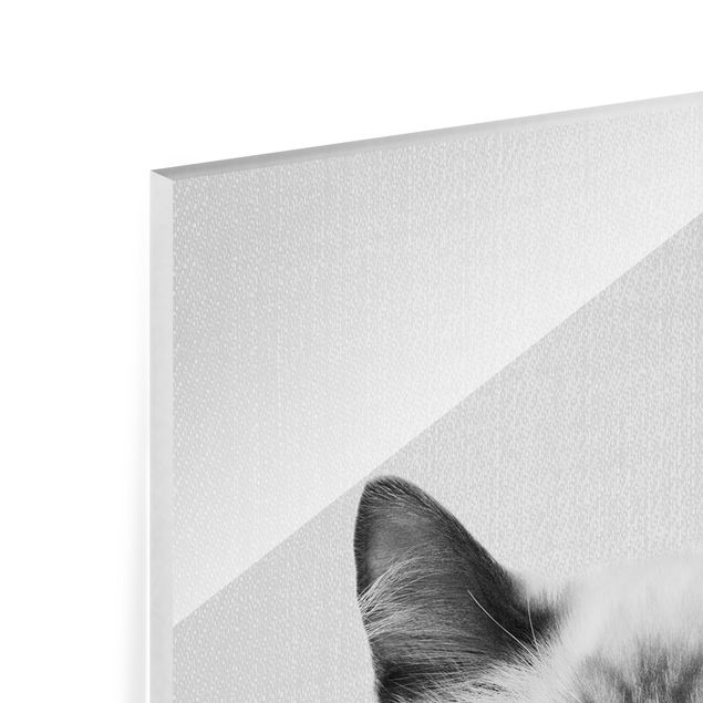 Gal Design Siamese Cat Sibylle Black And White