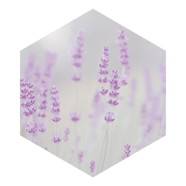 Monika Strigel Art prints Summer In A Field Of Lavender