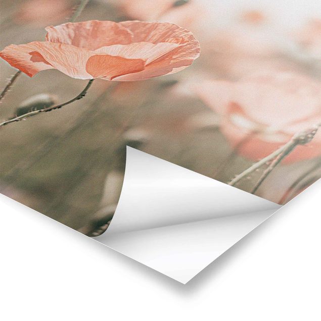 Monika Strigel Art prints Sun-Kissed Poppy Fields
